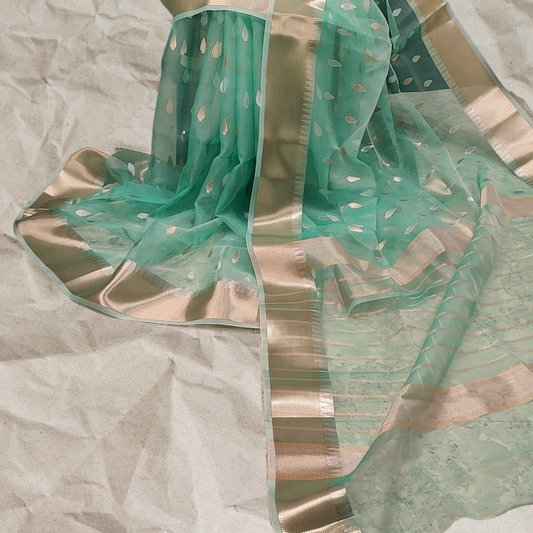 V A N S H I K A | Organic Organza Saree